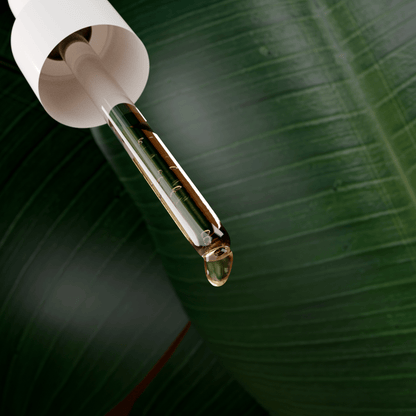 Máscara Cachos + Booster Tratamento